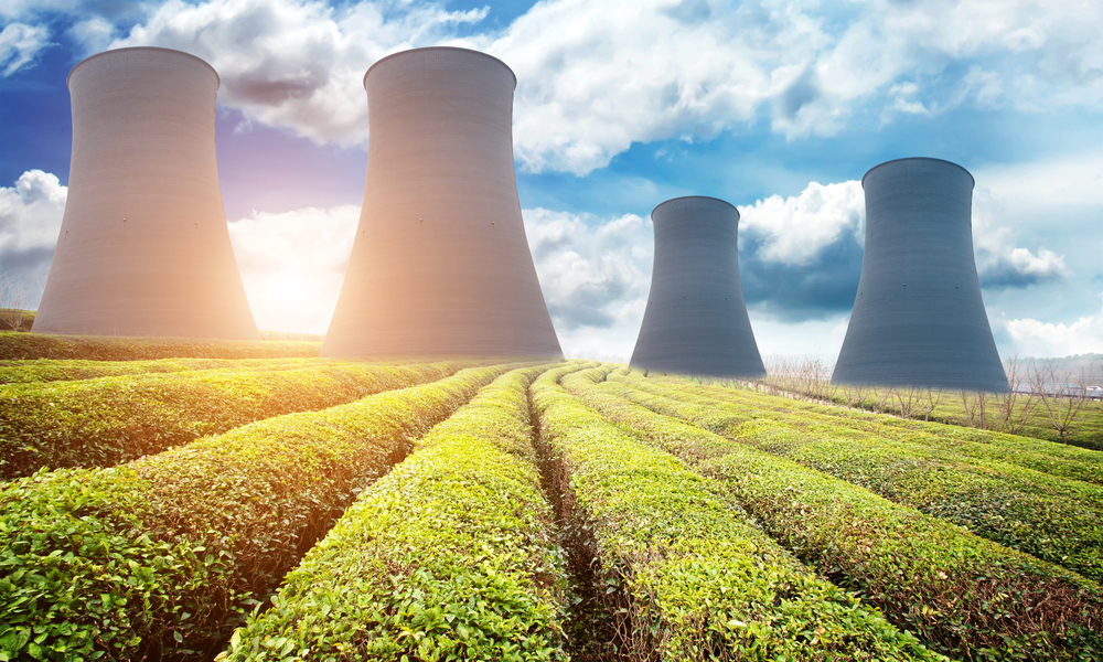 man in gray t-shirt working remotely on a laptop